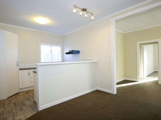 1 Haig Street Te Hapara_4