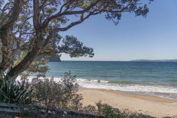 284 Matapaua Bay Road Opito Bay_24