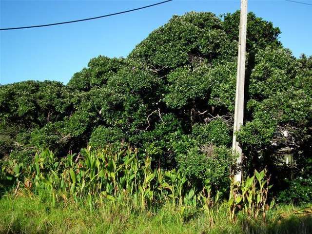 1161 Omamari Road Dargaville Surrounds_2