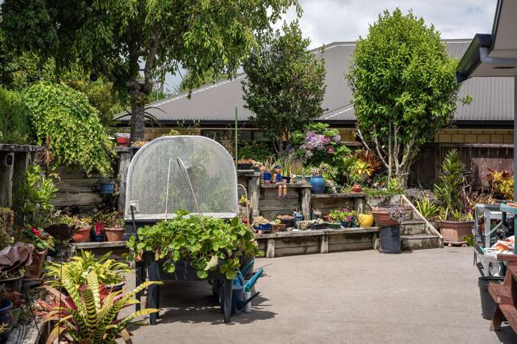 228 The Booms Avenue Thames_29