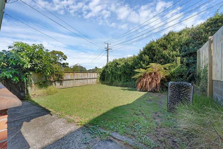 1/10 Domain Road Panmure_13