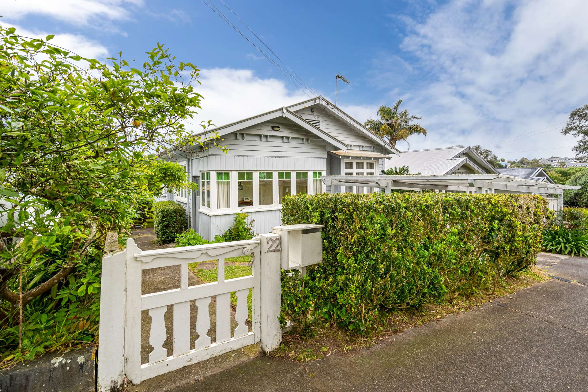 22 Jessel Street Grey Lynn_0