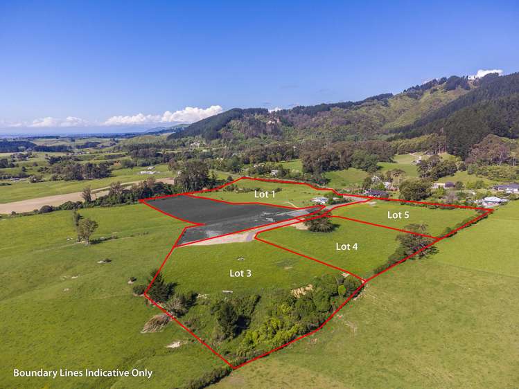 291 Wallace Road Koputaroa_3