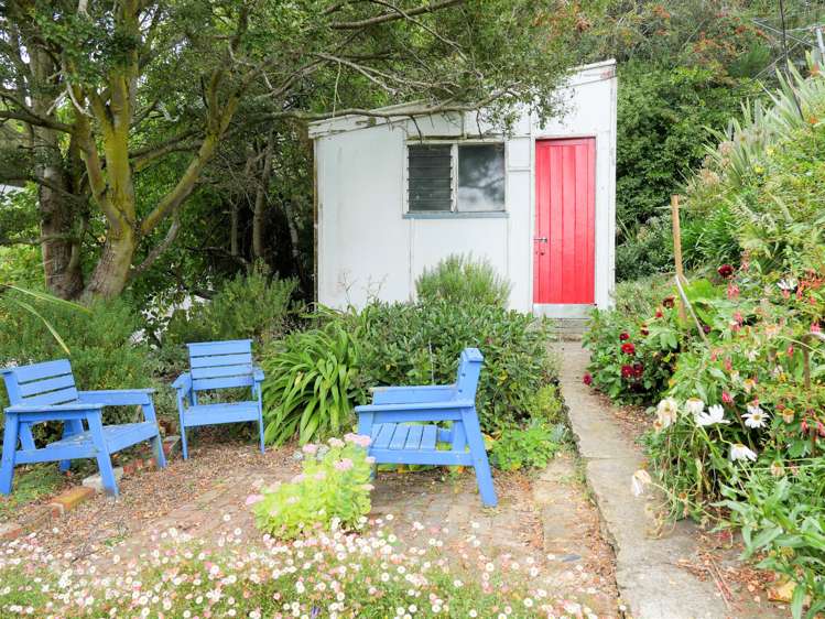 26 Allans Beach Road Portobello_17