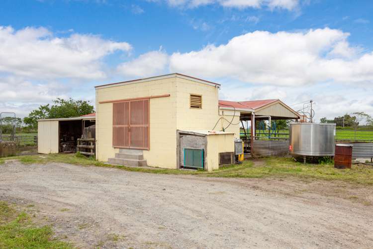 250 No 8 Road Morrinsville_20