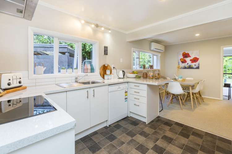 58 Akatarawa Road Brown Owl_8