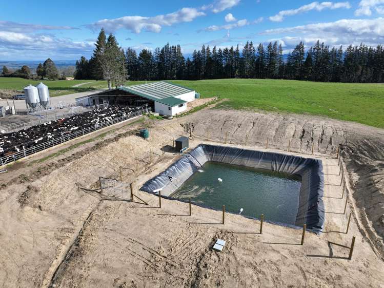 3986 Puketitiri Road Patoka_15