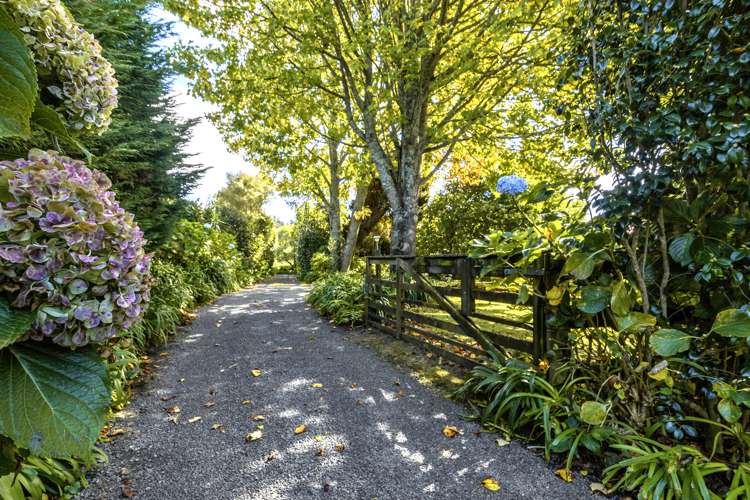 356 Belk Road Kaimai_32