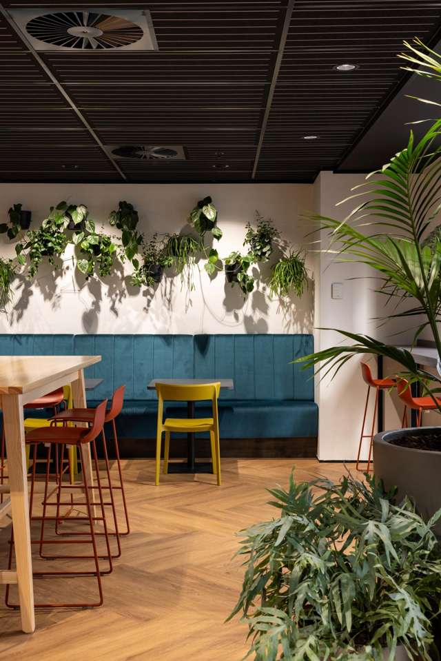 34 Shortland Street Auckland Central_4