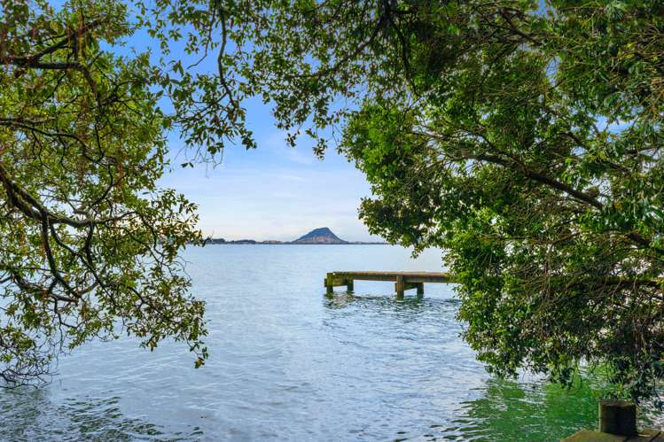 340B Maungatapu Road Tauranga South_11