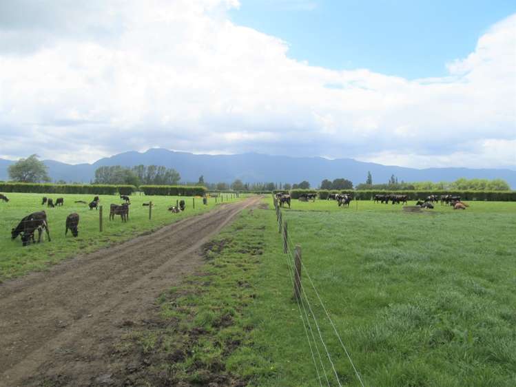 183 Waghorn Road Wardville_14