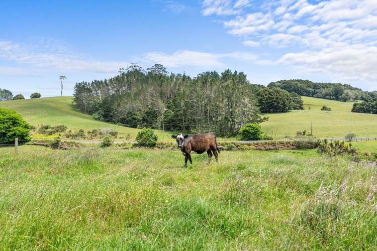 576b Te Ahu Ahu Road Waimate North_32