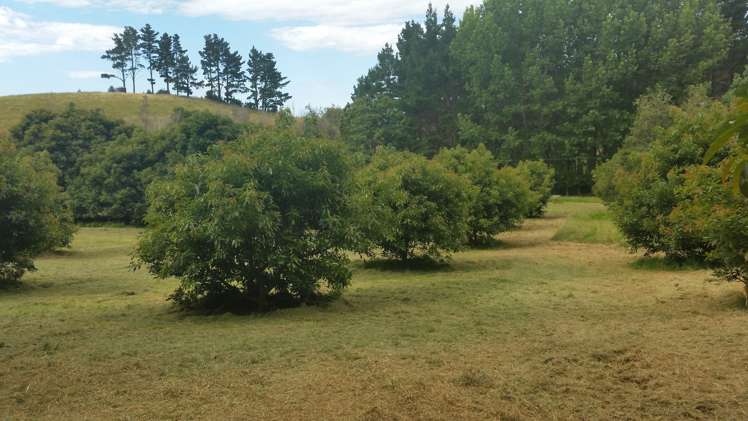 157 Waikite Road Welcome Bay_6