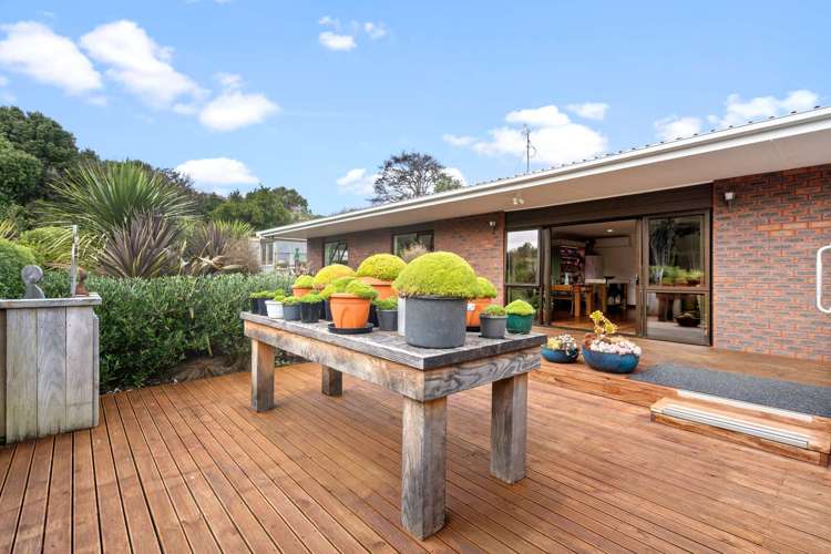 2519 Papatowai Highway Papatowai/Pounawea_20