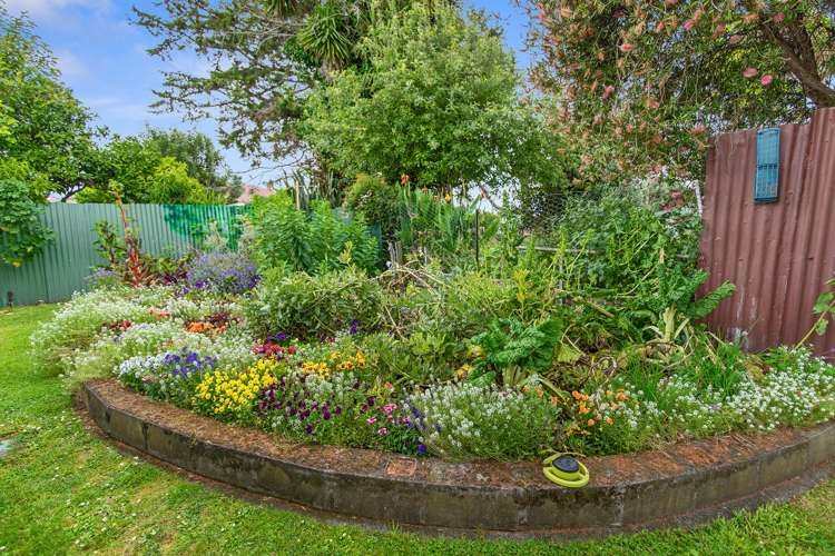 43a Irvine Street Frankton_11