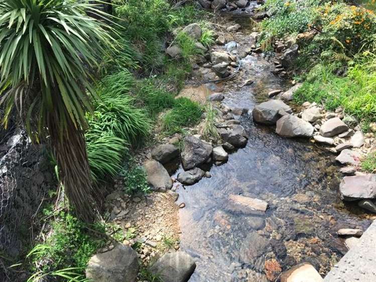 11a Pohue Creek Road Waiomu_16