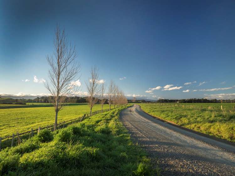 Kahutara Road Pirinoa_9