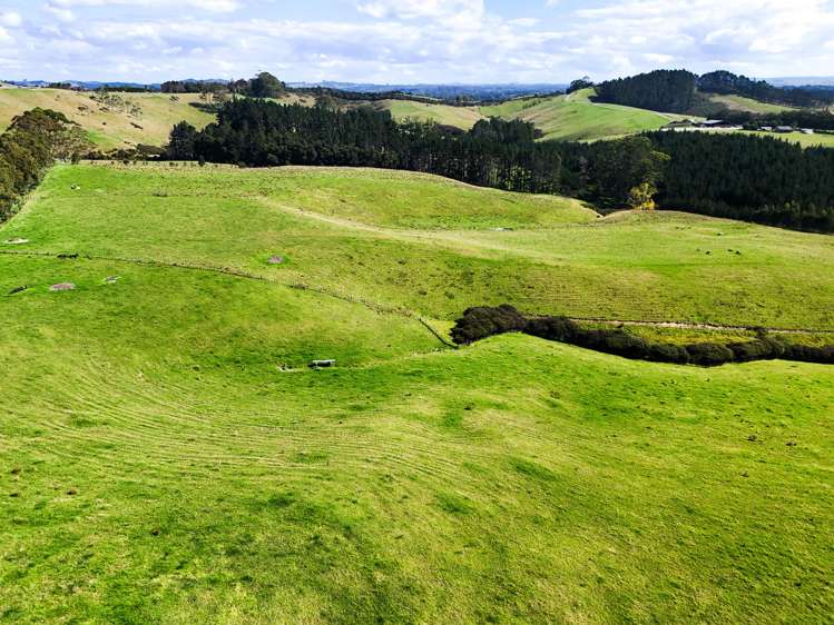 273 Redcliffs Road Kerikeri_16