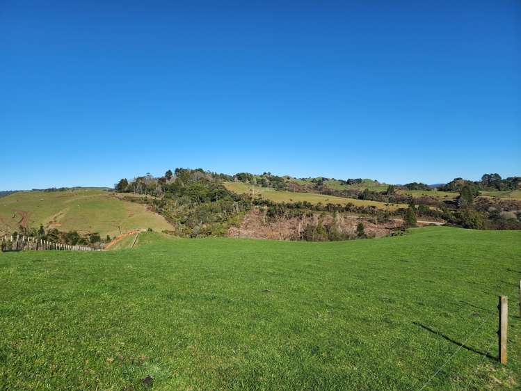Te Anga Road Waitomo_11