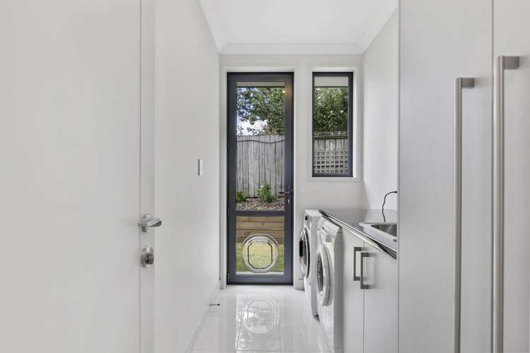 5 Pumice Glade Pyes Pa_22