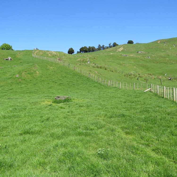 433 Pungapunga Valley Road Taumarunui_15