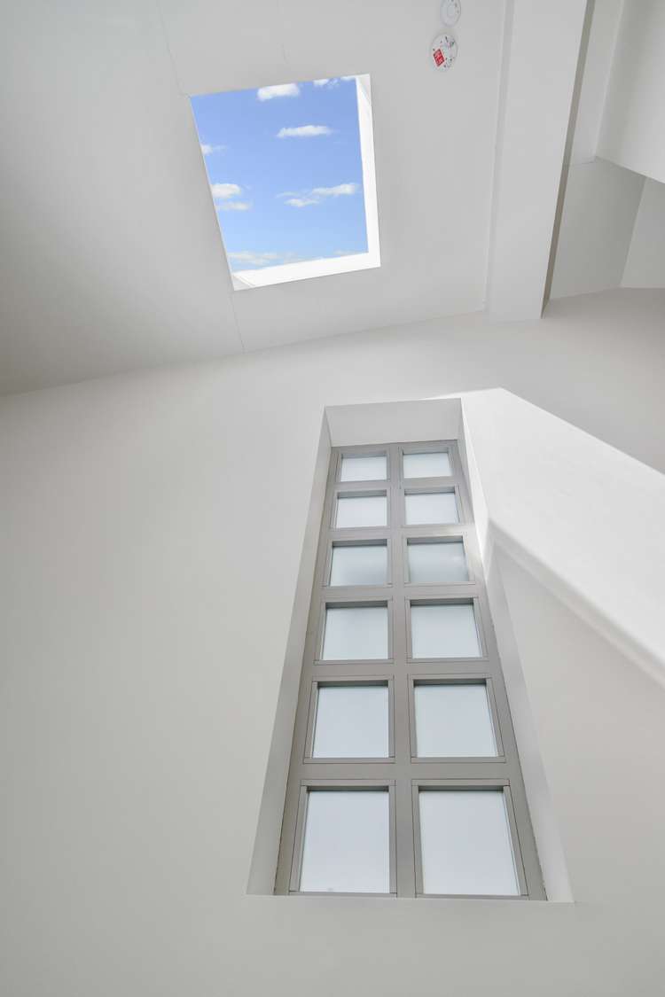 1/3 Wallingford Street Grey Lynn_14