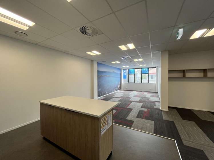 4 Murdoch Road Grey Lynn_6