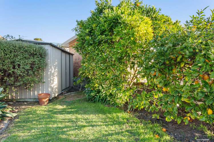 44 Bodi Place Te Atatu South_13