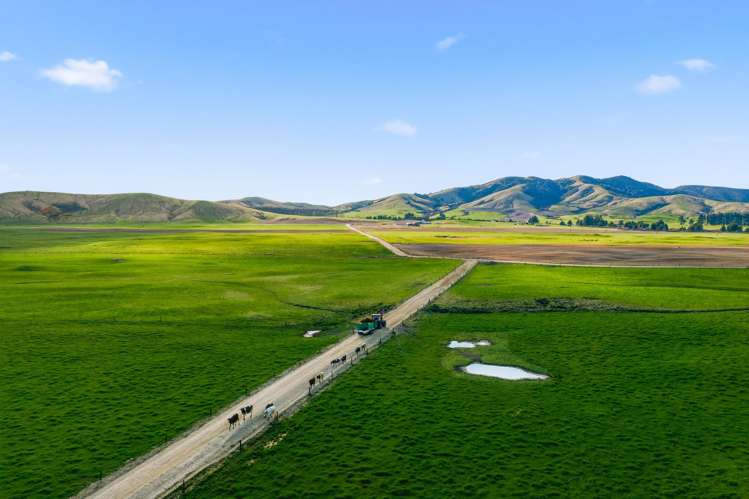2/1389 Taharua Road Rangitaiki_25