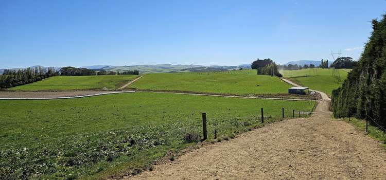 465 Adam Fleming Road Crossans Corner_19