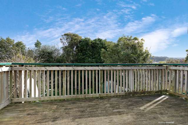 16 Hiropi Street Newtown_2