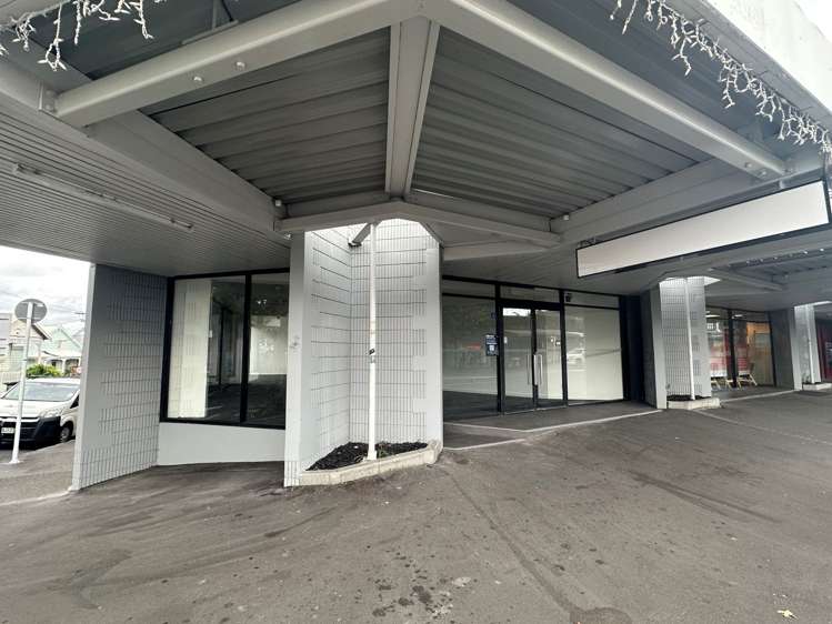 172 Ponsonby Road Ponsonby_2