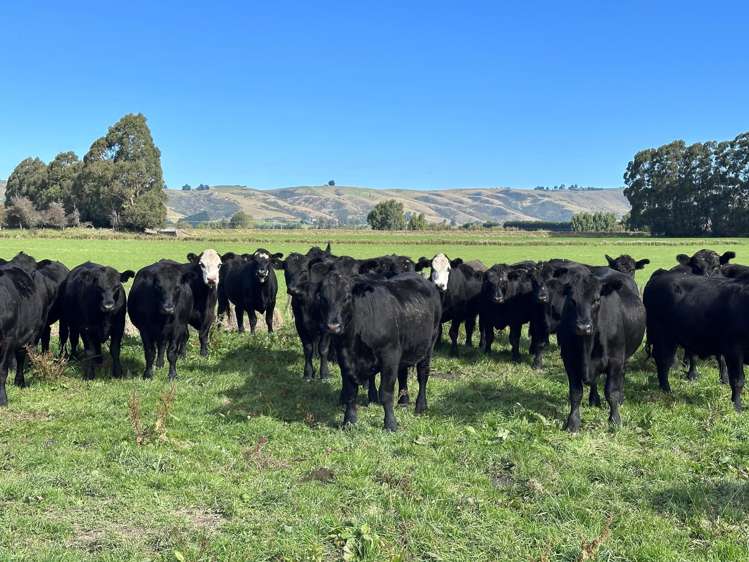 305 Riverside Road Taieri Plain_12