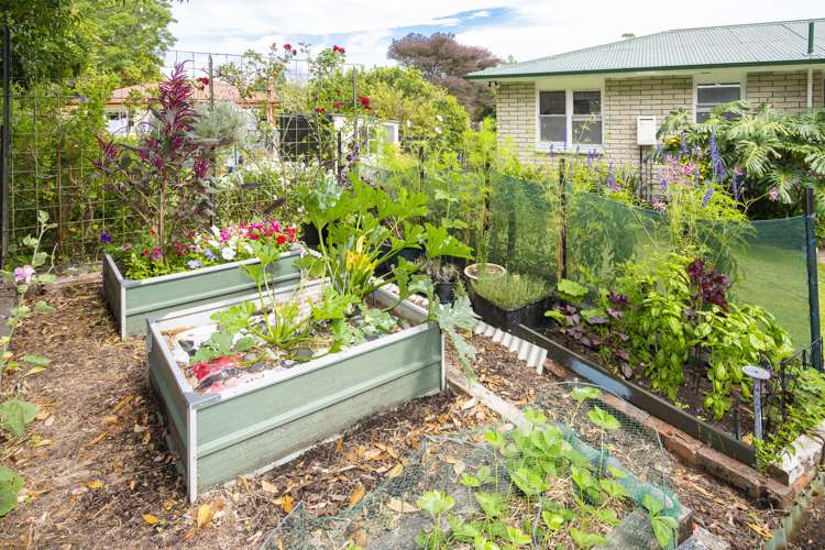 29 Marian Drive Inner Kaiti_22