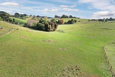 Lot 1/1739 Ponga Road_1