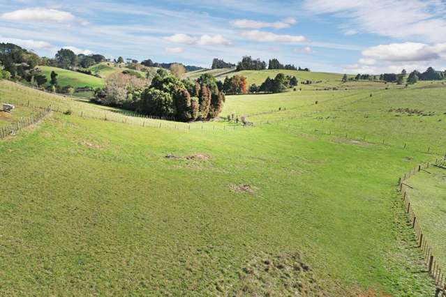 Lot 1/1739 Ponga Road Hunua_1