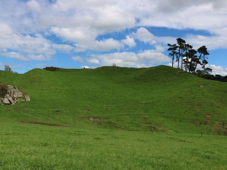 196 Hildreth Road Arapuni_33