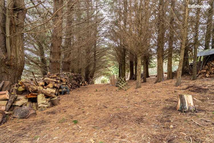 49 Raynbird Street Company Bay_43