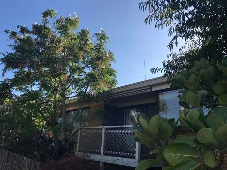 3/332 West Coast Road Glen Eden_8