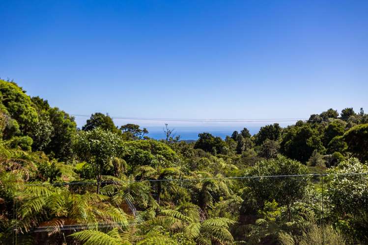 296 Piha Road Piha_54