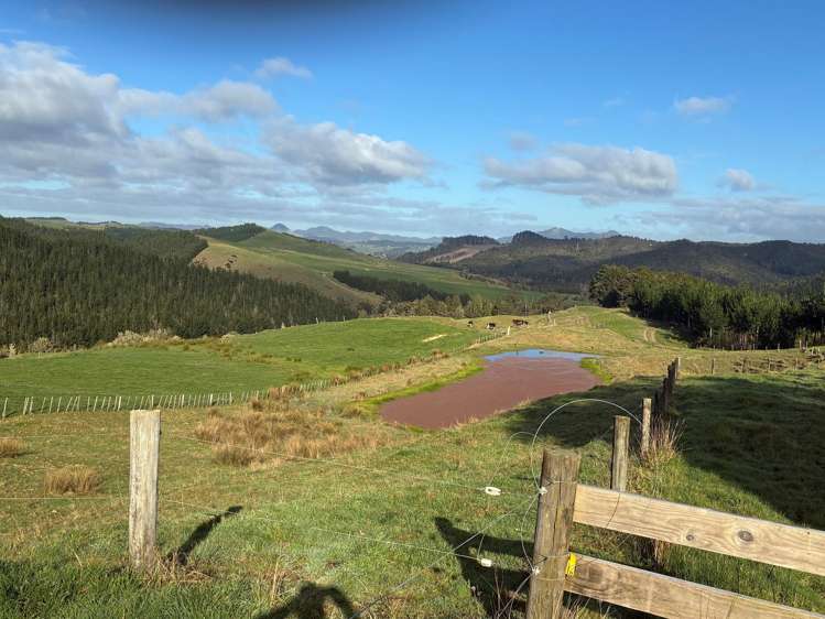 Milne Road Purua_5