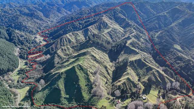 Rural opportunity in the heart of Paparangi