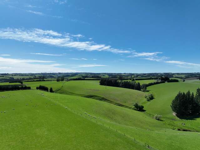 Smiths Track Balclutha_4