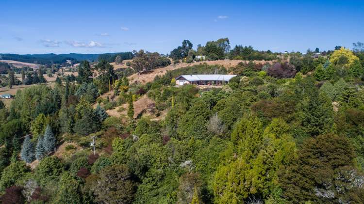 109 Martin Road Upper Moutere_1