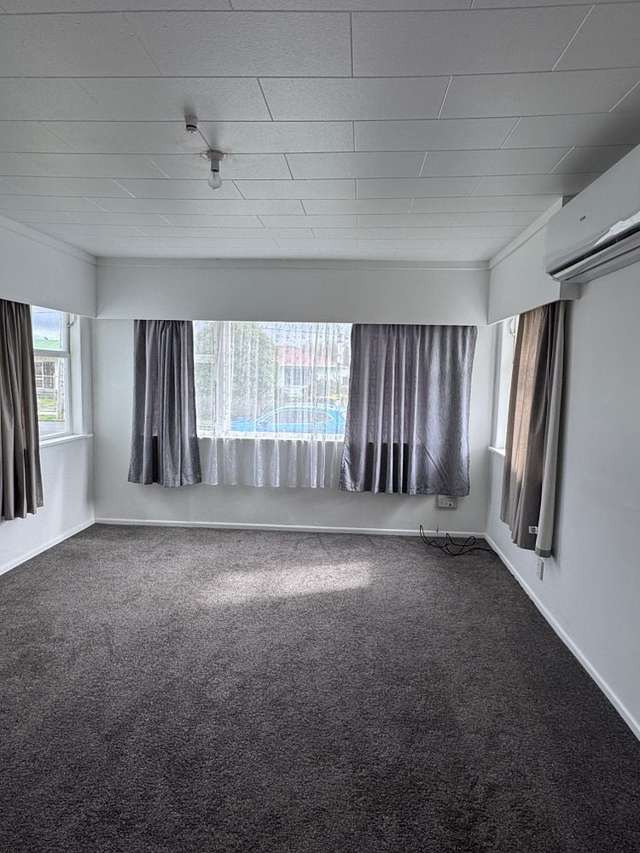 22 Ferguson Street Levin_2