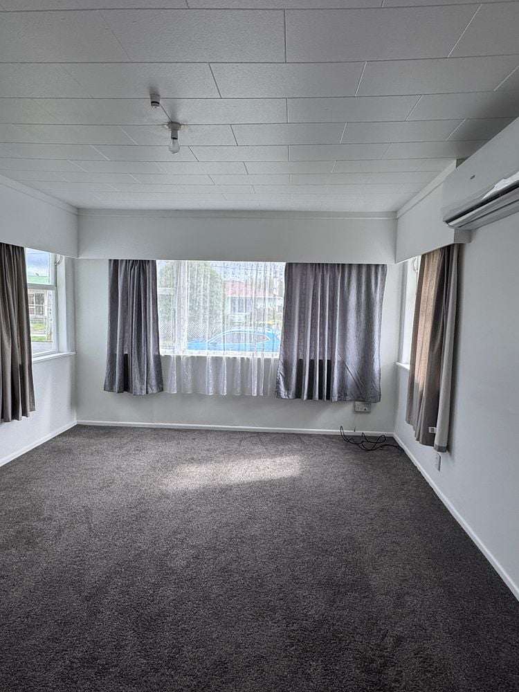 22 Ferguson Street Levin_2