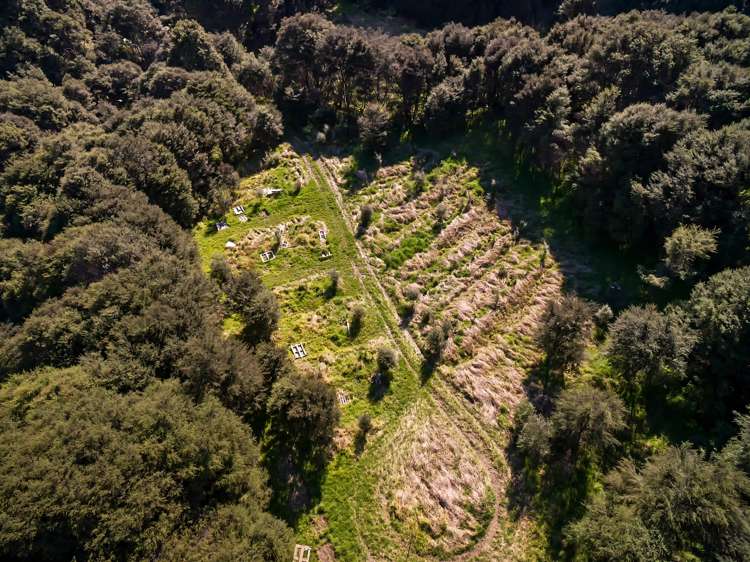 512 Orapiu Road Waiheke Island_10