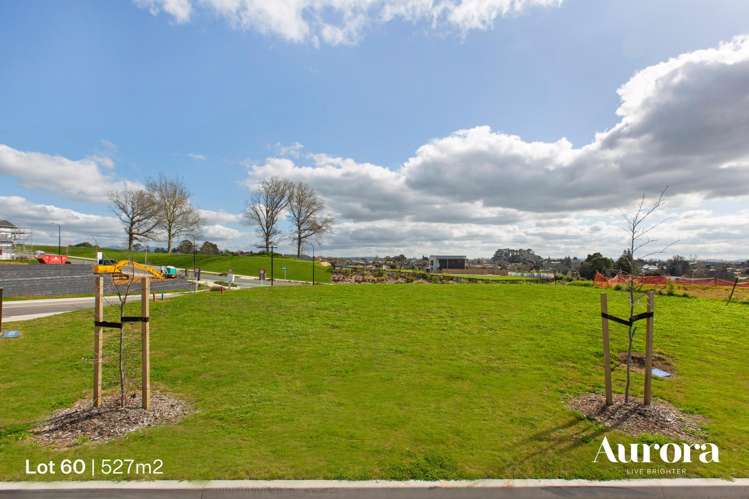 5 Anurangi Rise Peacocke_7