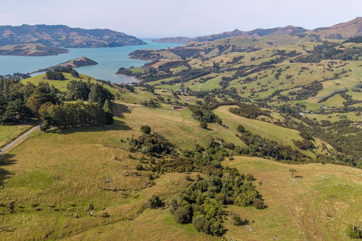 175 Barrys Bay Valley Road_5