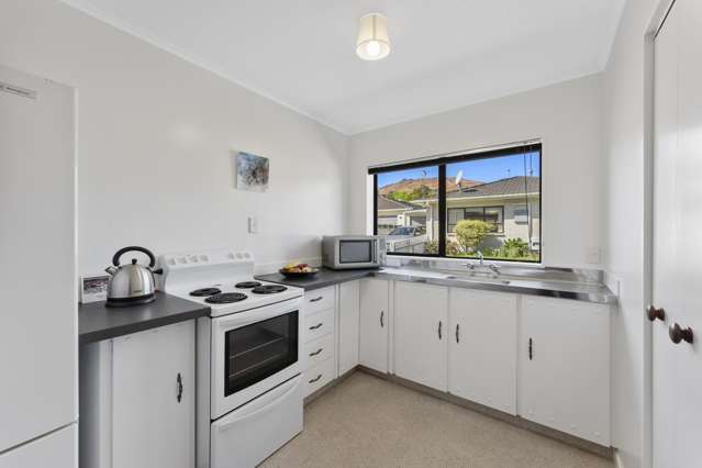 31B Hinau Street Tawa_4